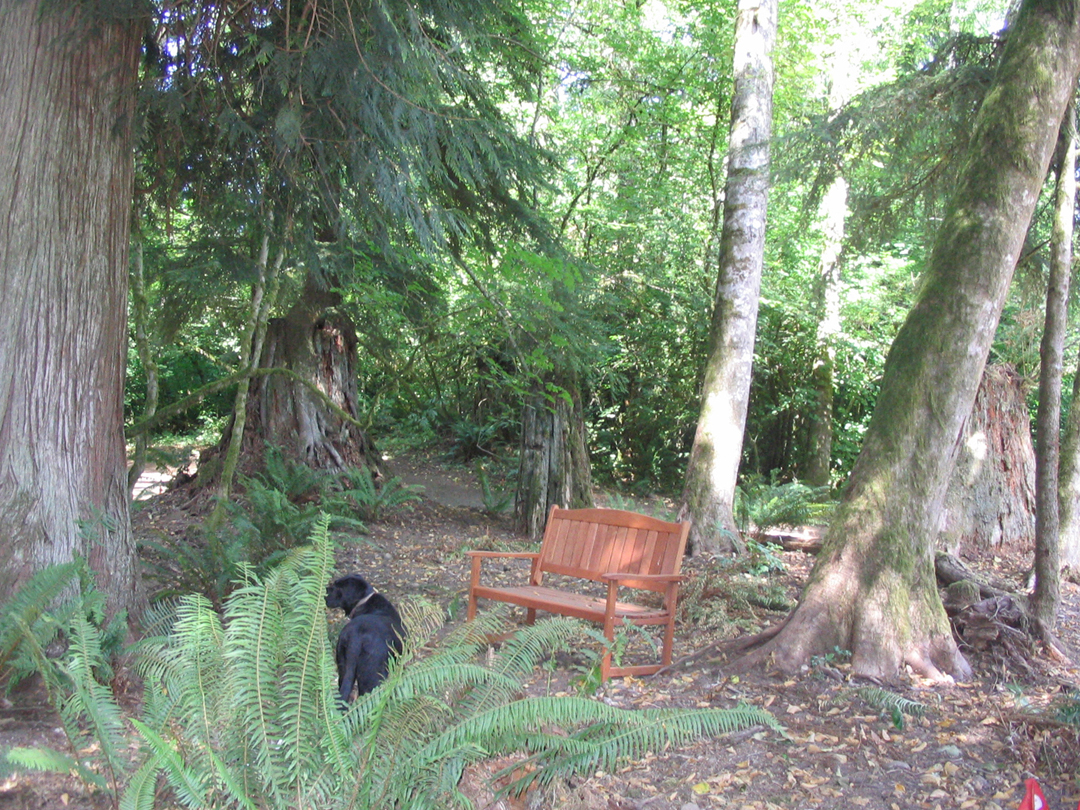 Bench and maddie.jpg 1070.4K